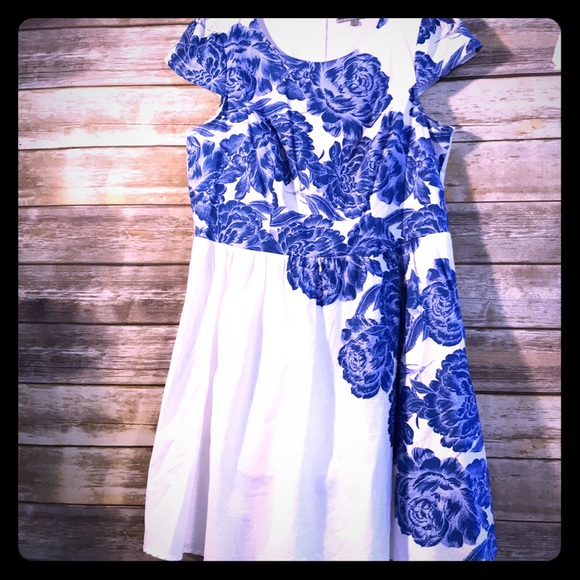 bailey blue Dresses & Skirts - Bailey Blue Dress Size 3X . Fit N Flare lined